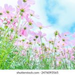 钱柜平台官网:安全可靠的在线娱乐平台选择 1thh8