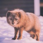 银河澳门注册流程详解,轻松开启你的博彩之旅 amxrercw2