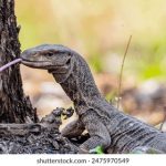 探索钱柜平台网址的安全性与用户体验分析 p3gtve19