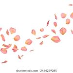 钻石赌城官网全攻略:如何在这里赢得更多奖励与乐趣 s0m369