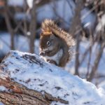 探索贝斯特best官网:获取最新产品信息与优惠活动 zo6lj